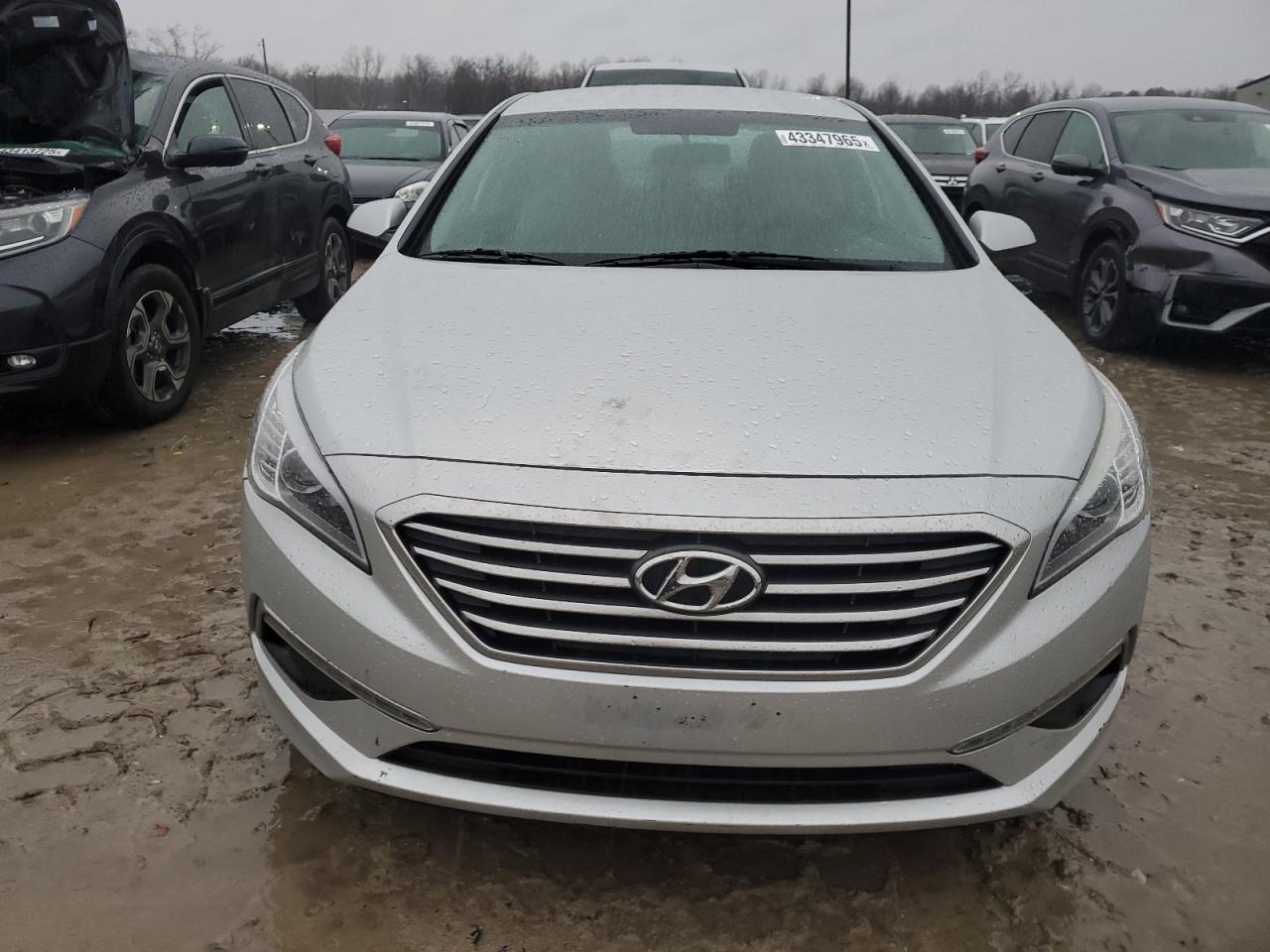 2015 Hyundai Sonata - Image 5