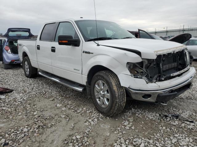 Пікапи FORD F-150 2014 Білий