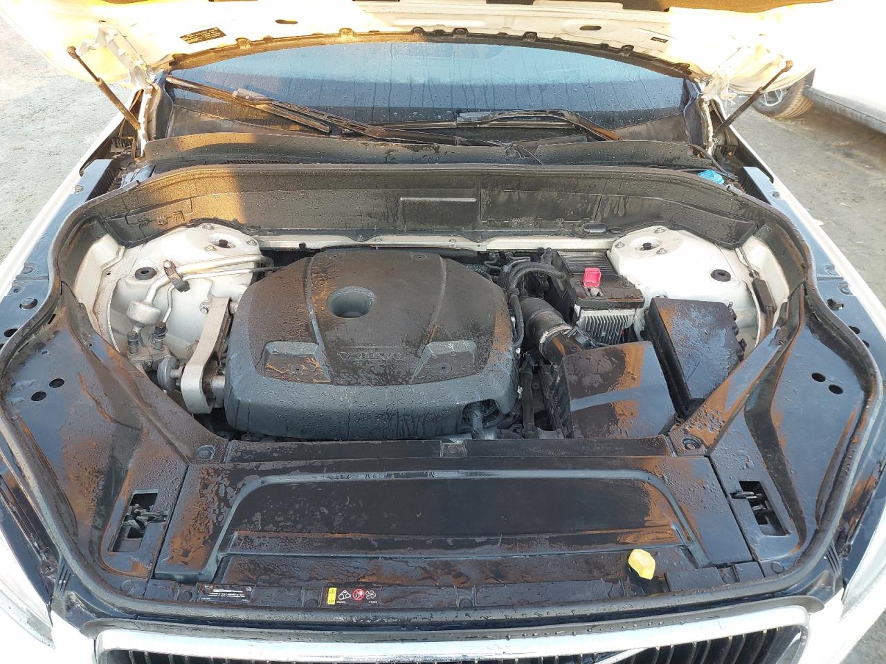 YV110ALF4K1460585 - 2019 Volvo XC90 - #41550185