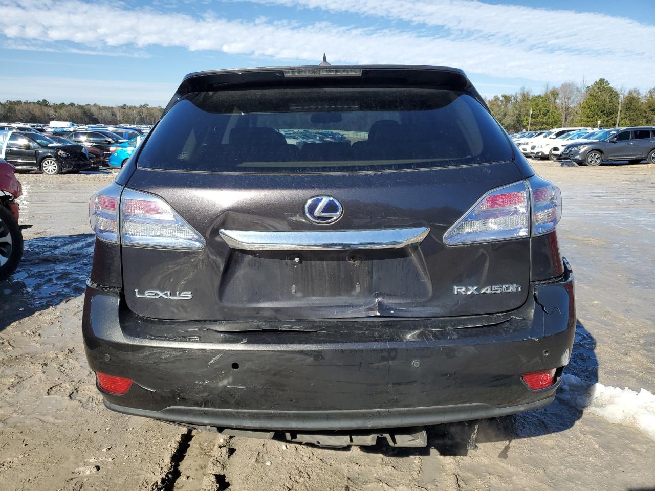 2010 Lexus Rx 450H VIN: JTJZB1BA3A2001675 Lot: 89165655