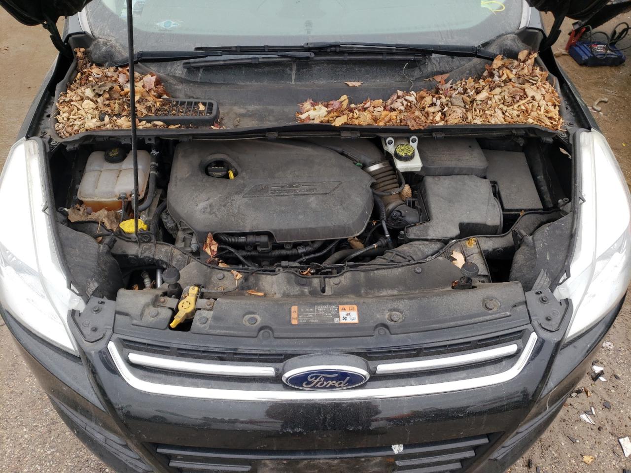 2014 Ford Escape - Image 11
