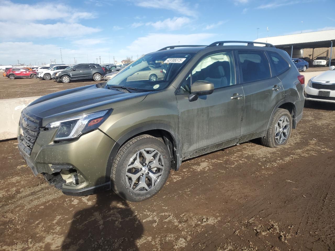 2024 Subaru Forester - Image 1