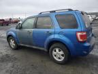 2011 Ford Escape Xlt იყიდება Airway Heights-ში, WA - All Over