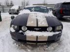 2009 Ford Mustang  en Venta en Walton, KY - Front End