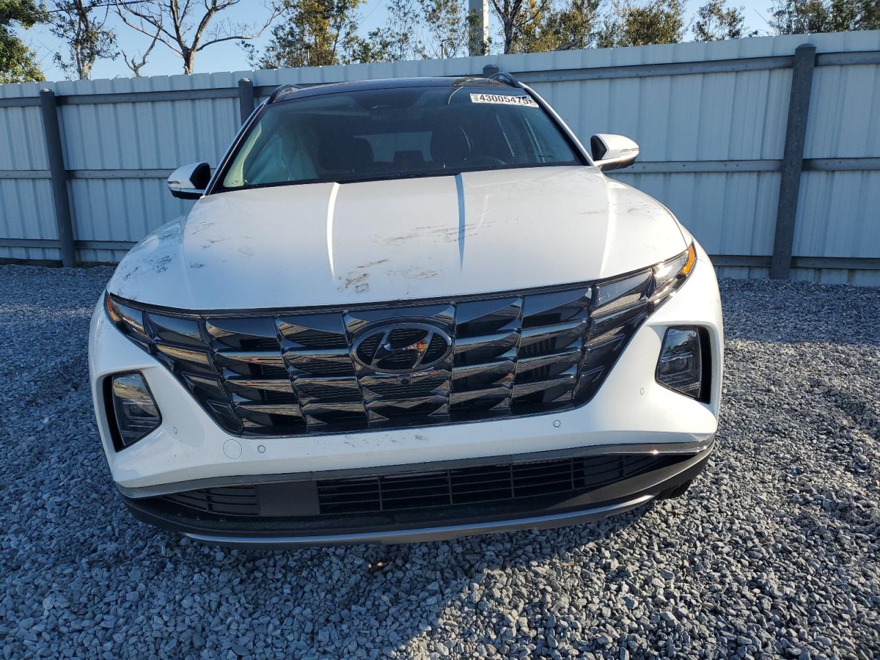 2024 Hyundai Tucson - Image 5