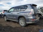 2016 Lexus Gx 460 for Sale in Brighton, CO - Front End