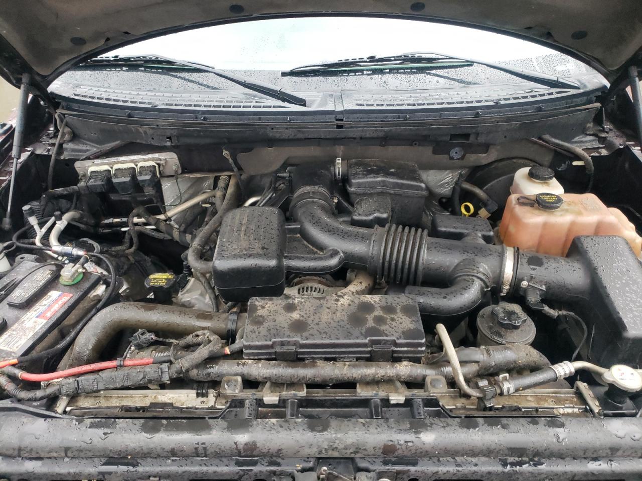 2010 Ford F-150 - Image 11