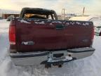 2004 Ford F250 Super Duty zu verkaufen in Anchorage, AK - Burn