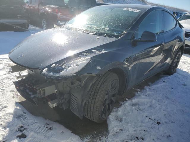 2023 Tesla Model Y  за продажба в Littleton, CO - Front End