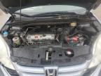 2010 Honda Cr-V Exl na sprzedaż w Gaston, SC - All Over