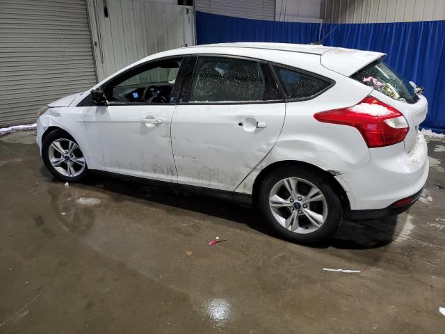 Хетчбеки FORD FOCUS 2014 Білий