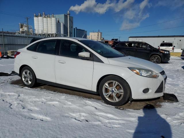 Sedans FORD FOCUS 2013 White