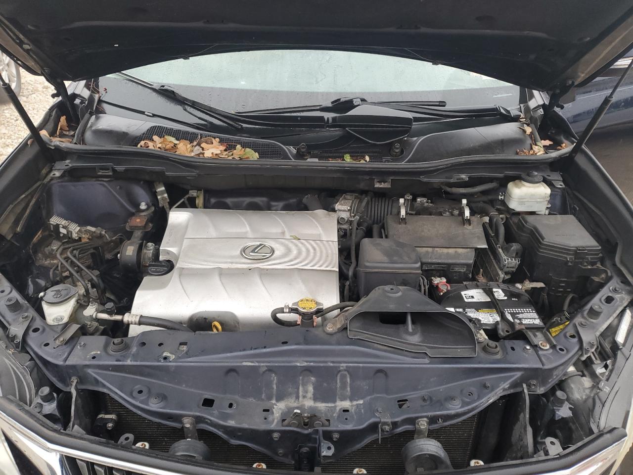 2010 Lexus RX - Image 12
