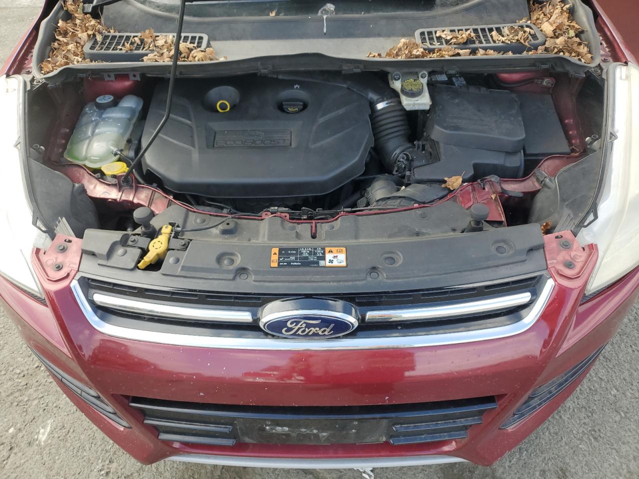 VIN 1FMCU0J99EUC08548 2014 FORD ESCAPE no.12