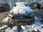 2018 Ford Mustang  for Sale in Louisville, KY - Rear End
