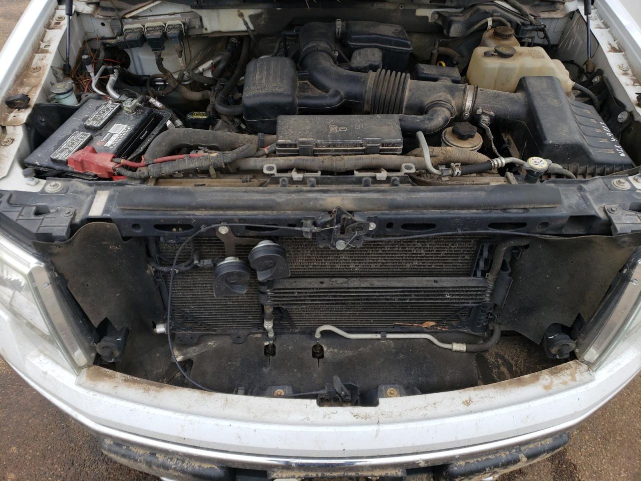 2010 Ford F-150 - Image 11