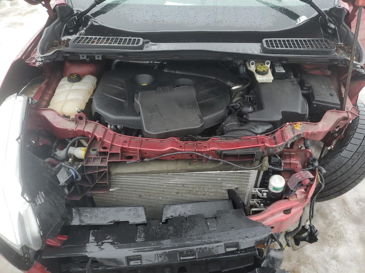 2014 Ford Escape - Image 12