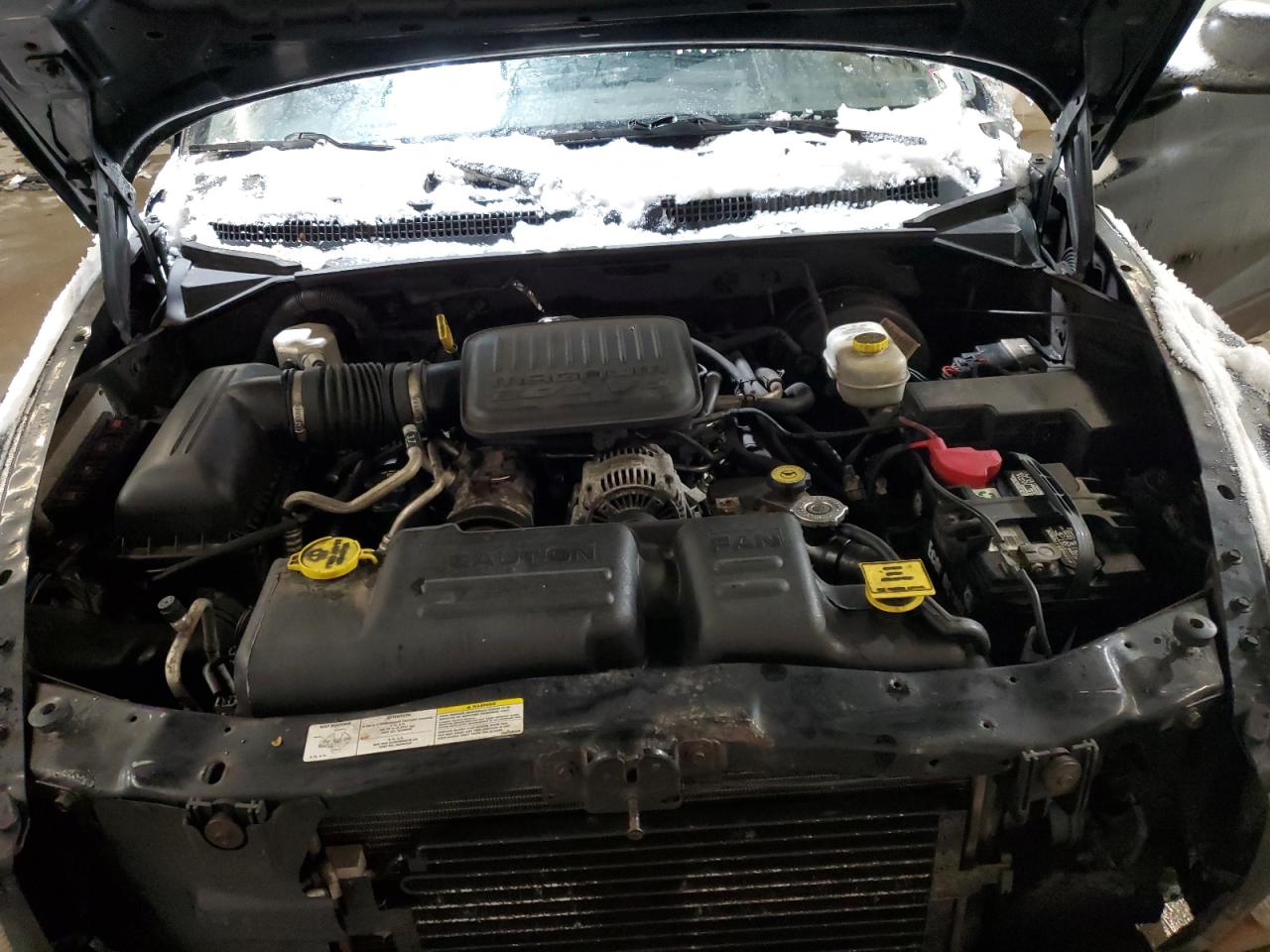 2004 Dodge Dakota - Image 11