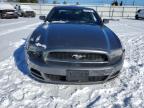 2014 Ford Mustang  за продажба в Finksburg, MD - Side