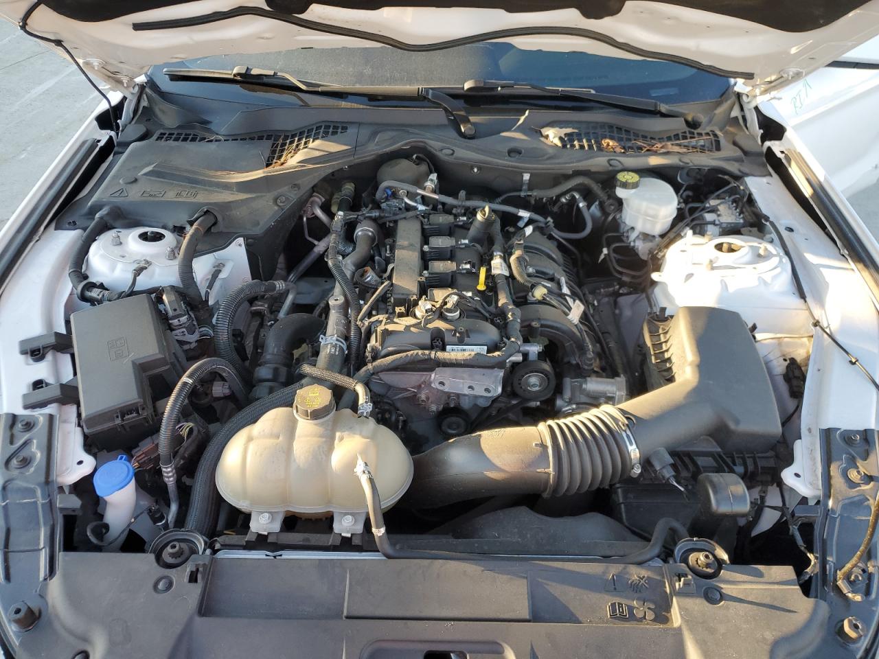 2021 Ford Mustang VIN: 1FA6P8THXM5123793 Lot: 87162224