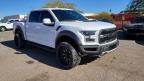 2019 Ford F150 Raptor en Venta en Phoenix, AZ - Minor Dent/Scratches