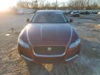 Oklahoma City, OK에서 판매 중인 2016 Jaguar Xf Prestige - Hail