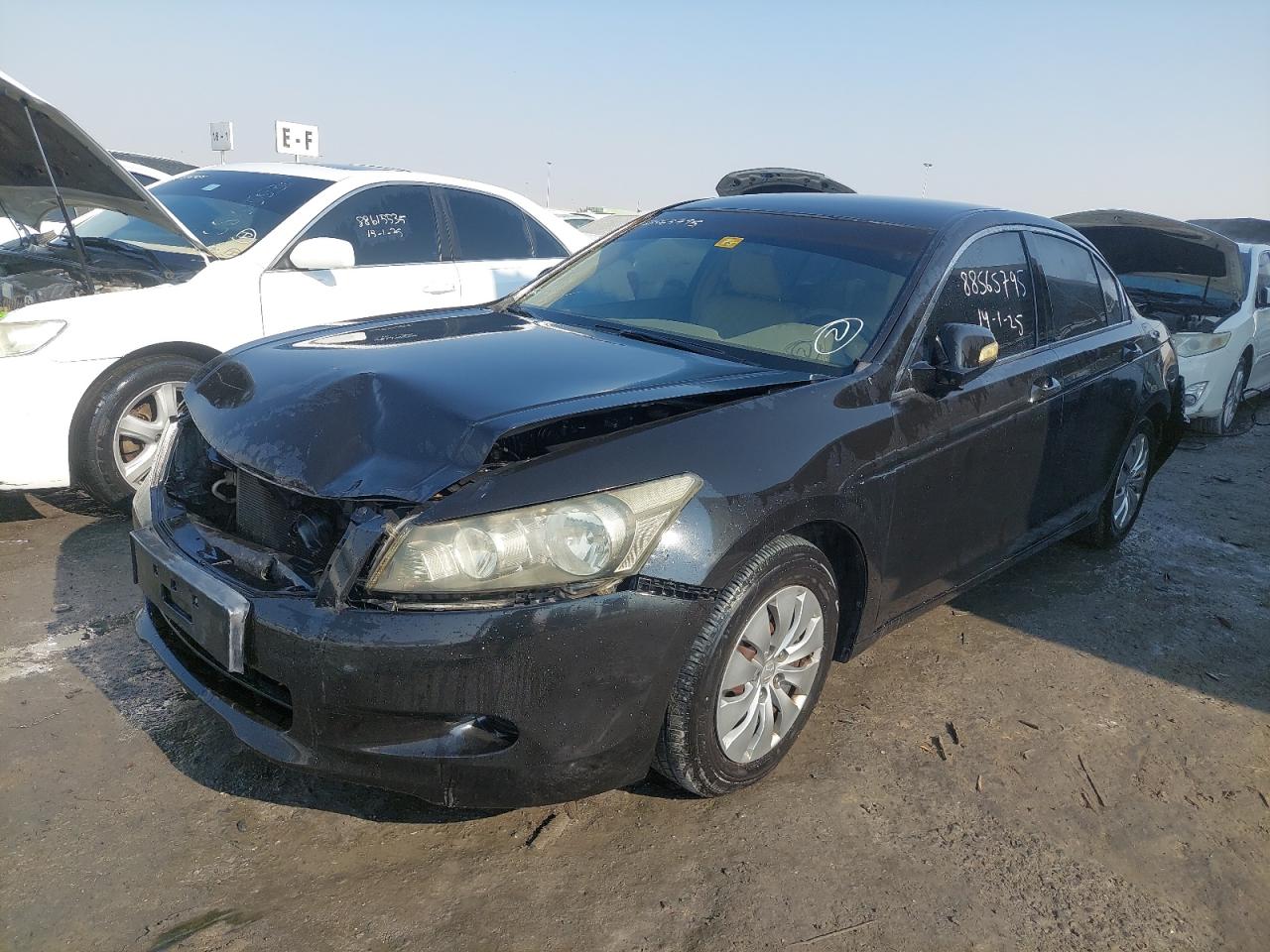 JHMCP26368C404757 - 2008 Honda Accord Lxp - #88565795