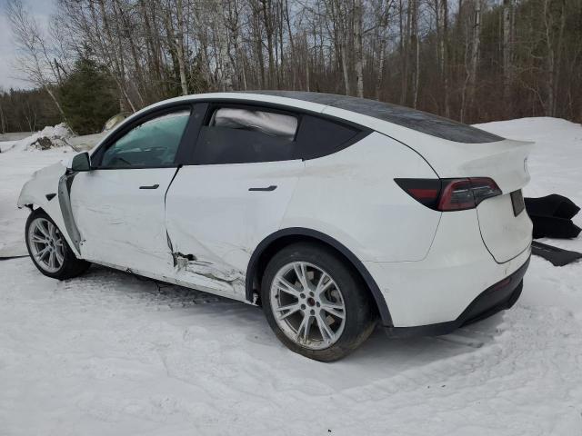 2022 TESLA MODEL Y 