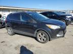 2013 Ford Escape Se na sprzedaż w Louisville, KY - Rear End