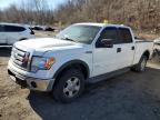 2012 Ford F150 Supercrew на продаже в Marlboro, NY - Side