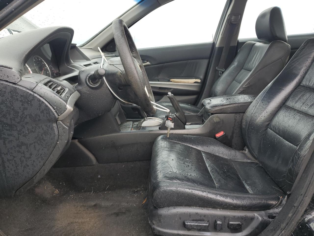 2009 Honda Accord - Image 7