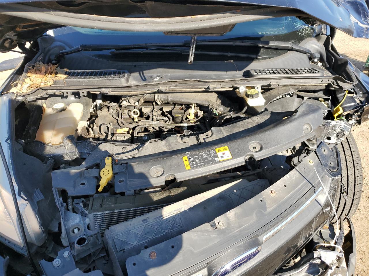 2013 Ford Escape Se VIN: 1FMCU0G95DUD28658 Lot: 87331414