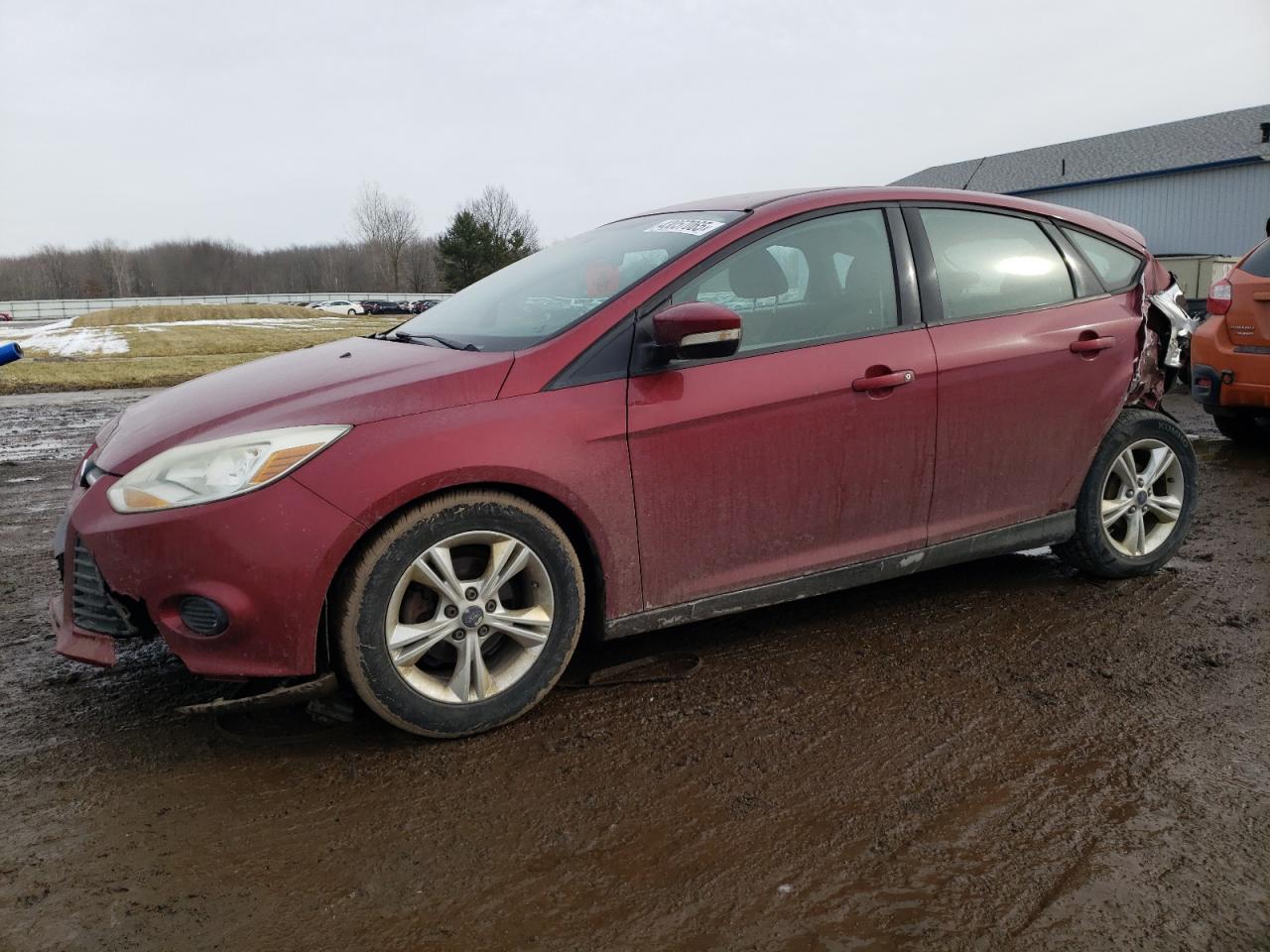 2014 Ford Focus - Image 1