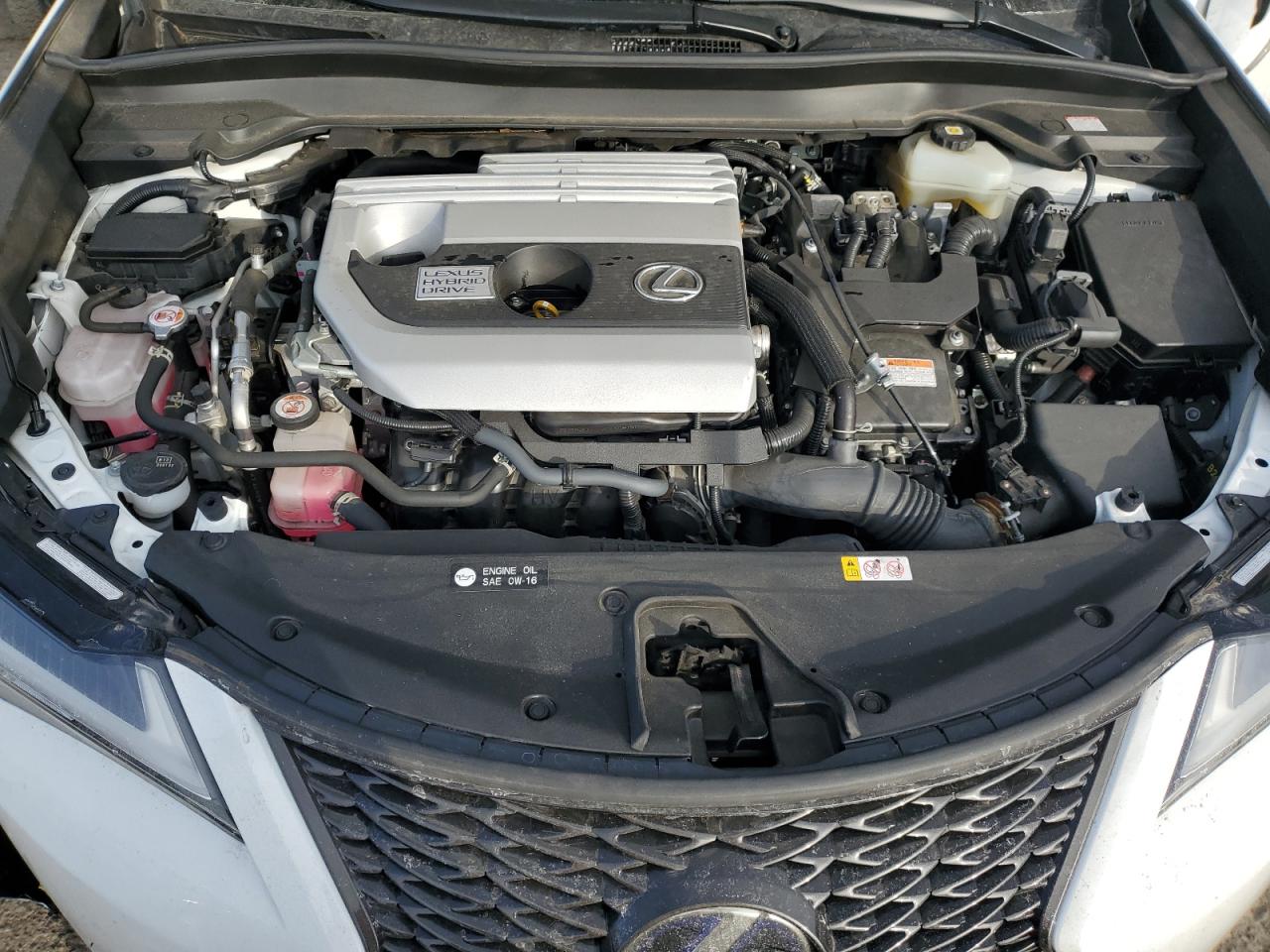 2021 Lexus UX - Image 13