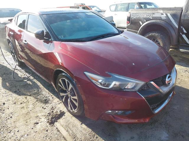 1N4AA6AP2GC424293 - 2016 NISSAN MAXIMA - #undefined