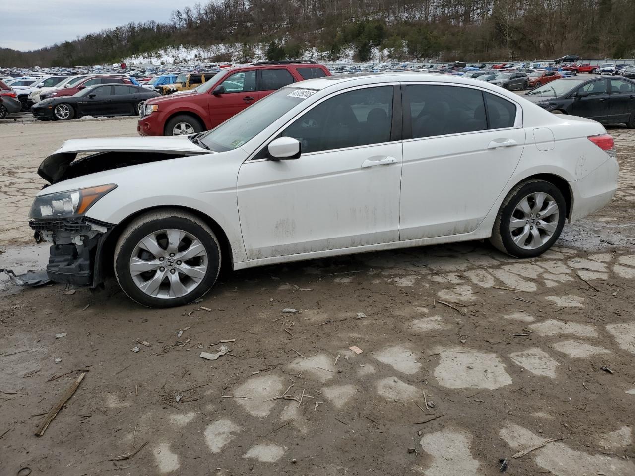 2010 Honda Accord - Image 1
