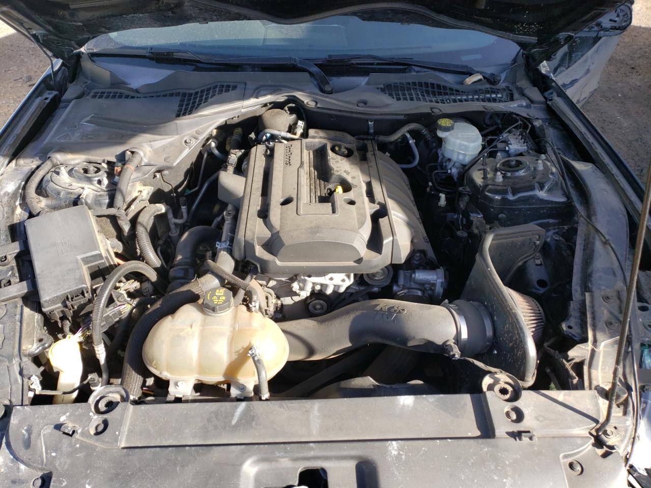 2017 Ford Mustang VIN: 1FA6P8TH2H5340597 Lot: 81547605