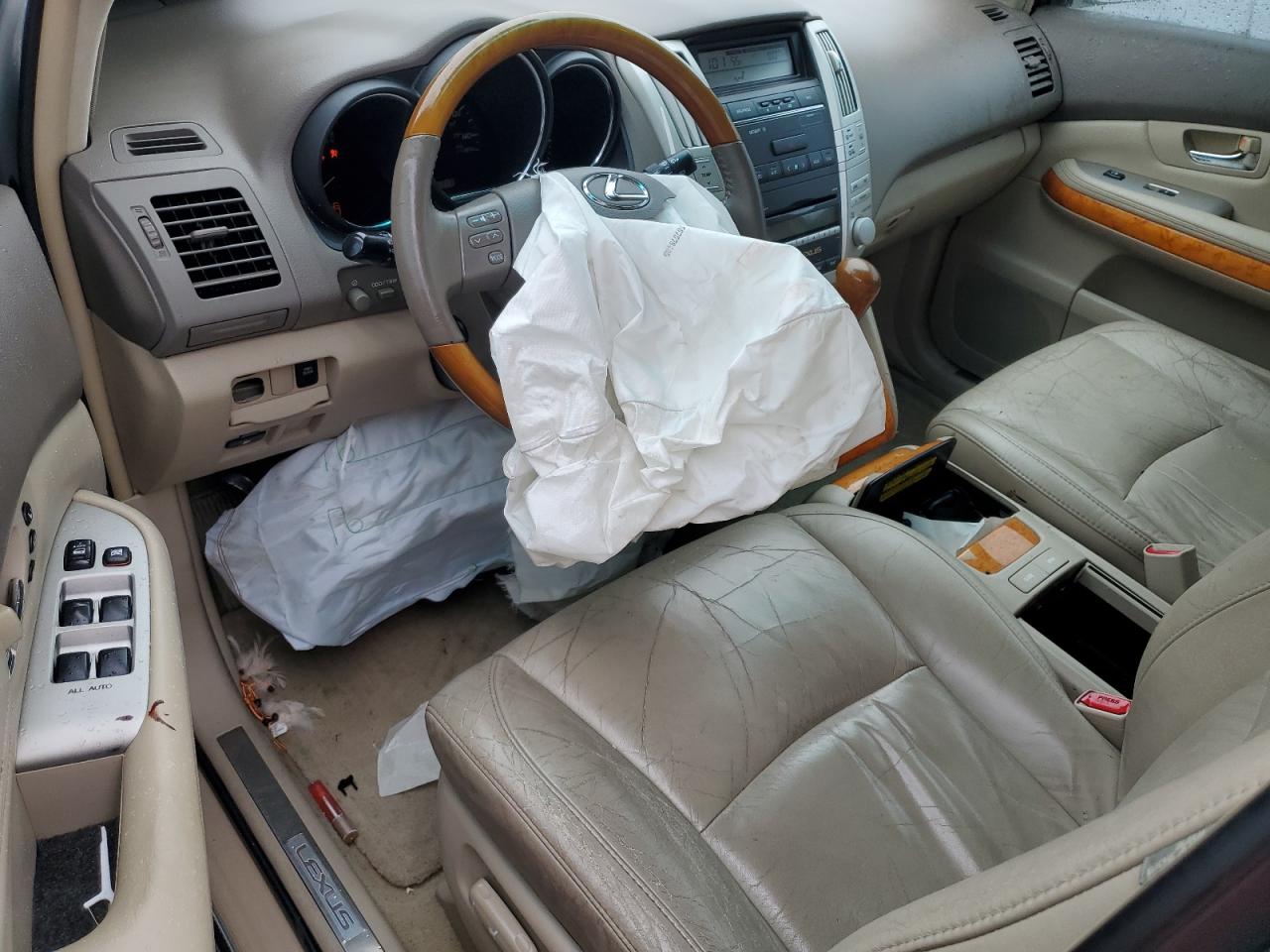 2009 Lexus RX - Image 8