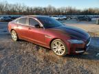 Oklahoma City, OK에서 판매 중인 2016 Jaguar Xf Prestige - Hail