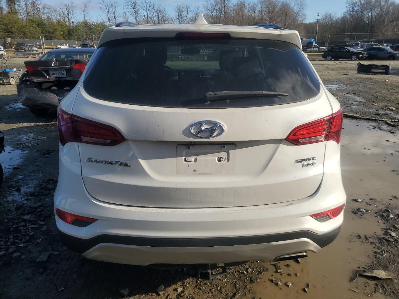 VIN 5NMZUDLB3HH007830 2017 HYUNDAI SANTA FE no.6