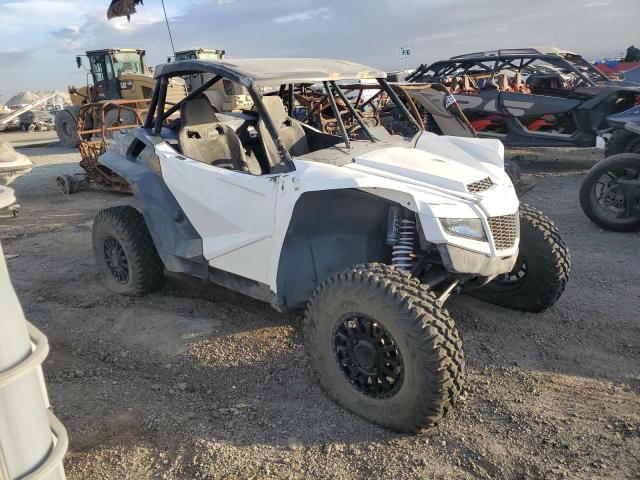 2019 Wild Arctic Cat