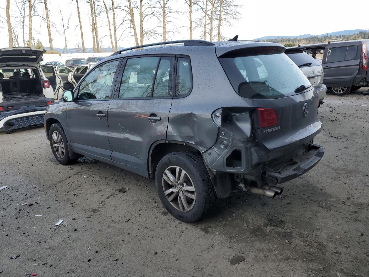 2017 Volkswagen Tiguan - Image 2