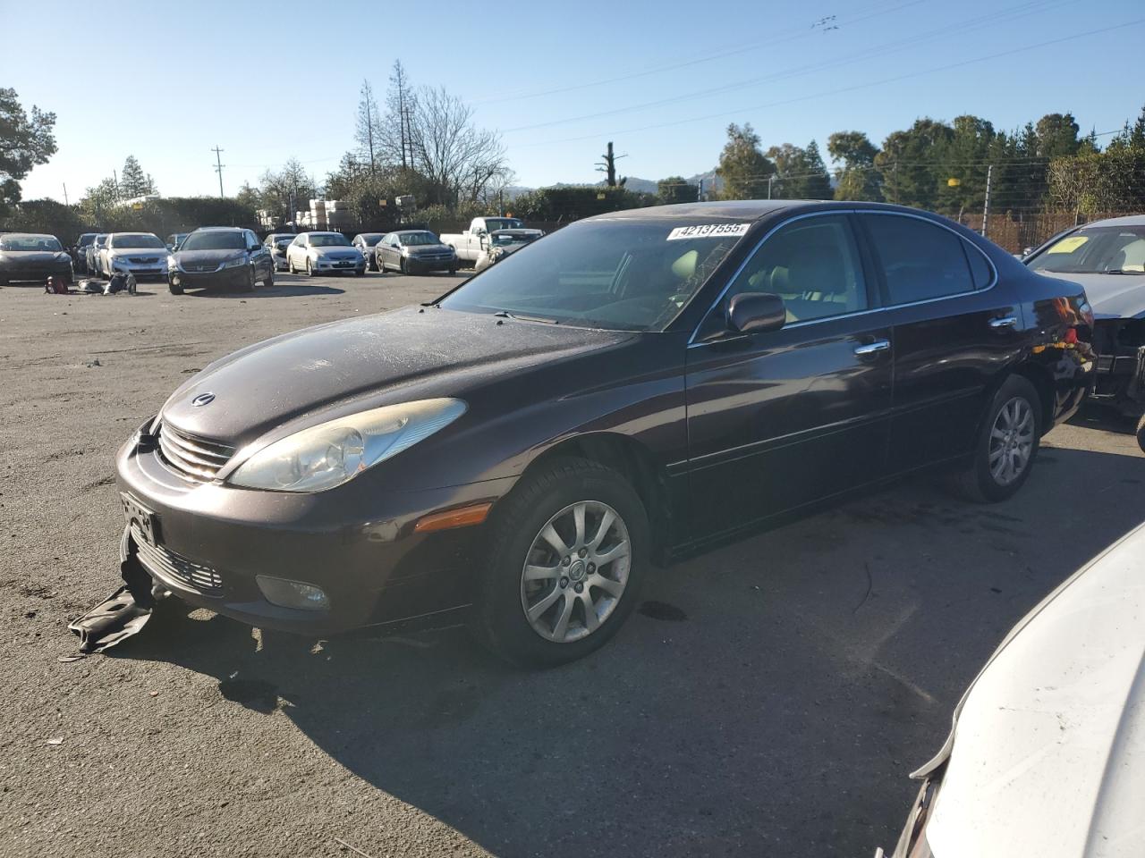 2004 Lexus ES - Image 1