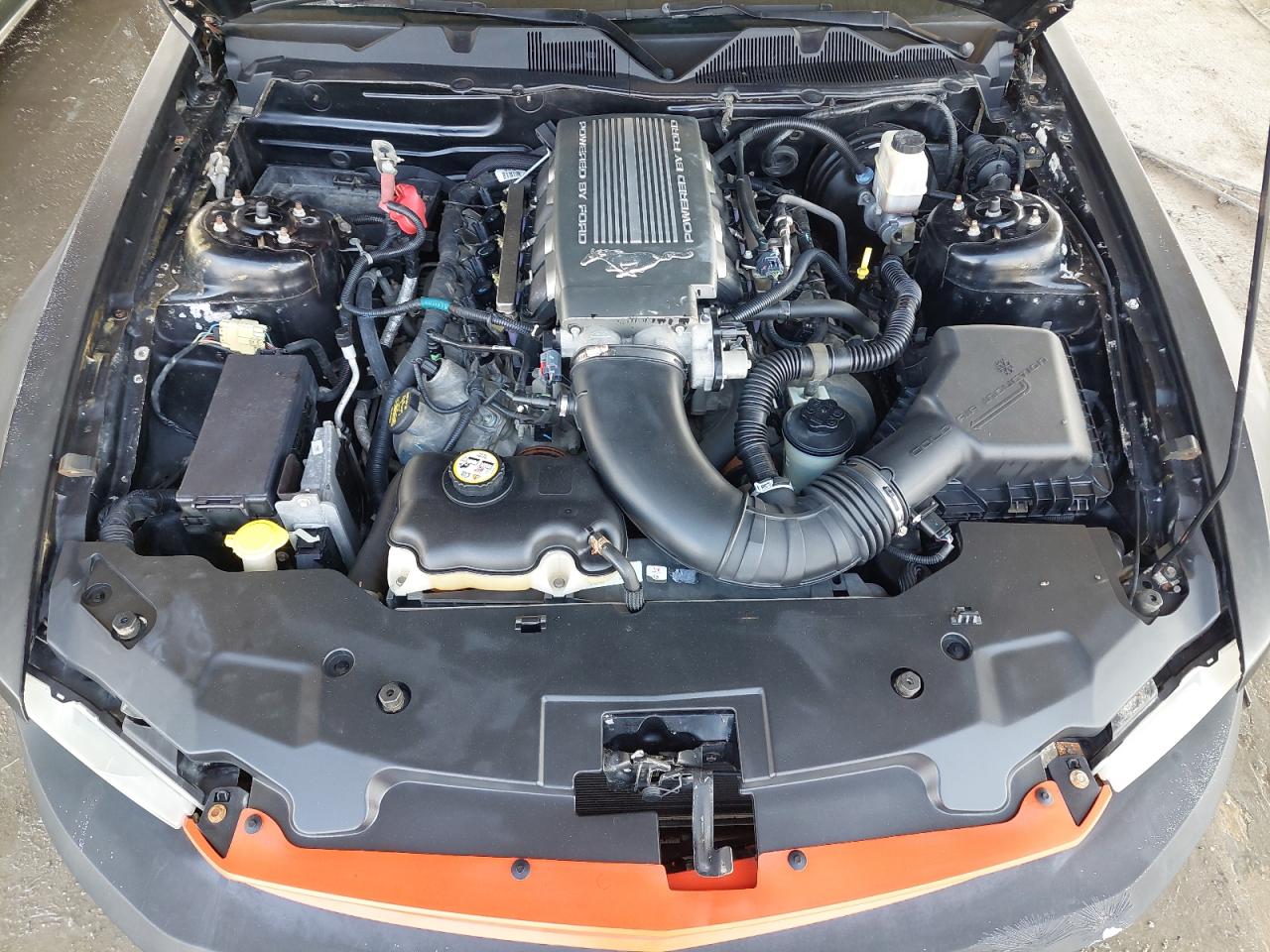 1ZVBP8CH9A5117985 - 2010 FORD MUSTANG - #43094175