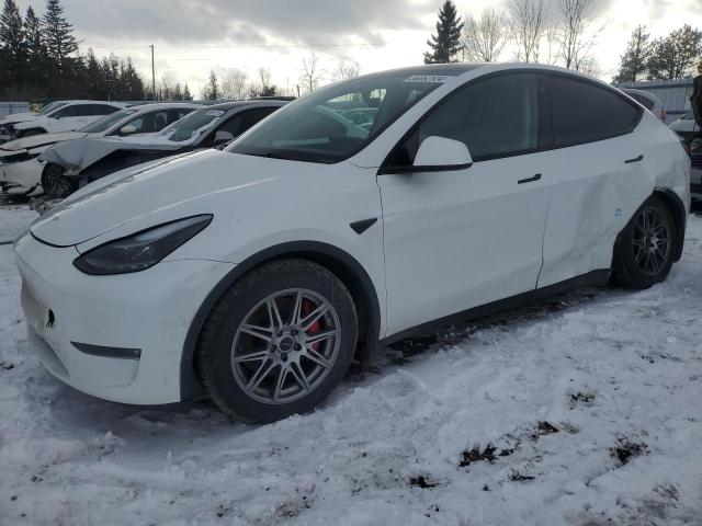 2022 TESLA MODEL Y  for sale at Copart ON - TORONTO