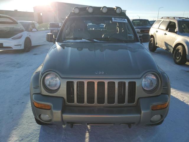 2004 JEEP LIBERTY RENEGADE