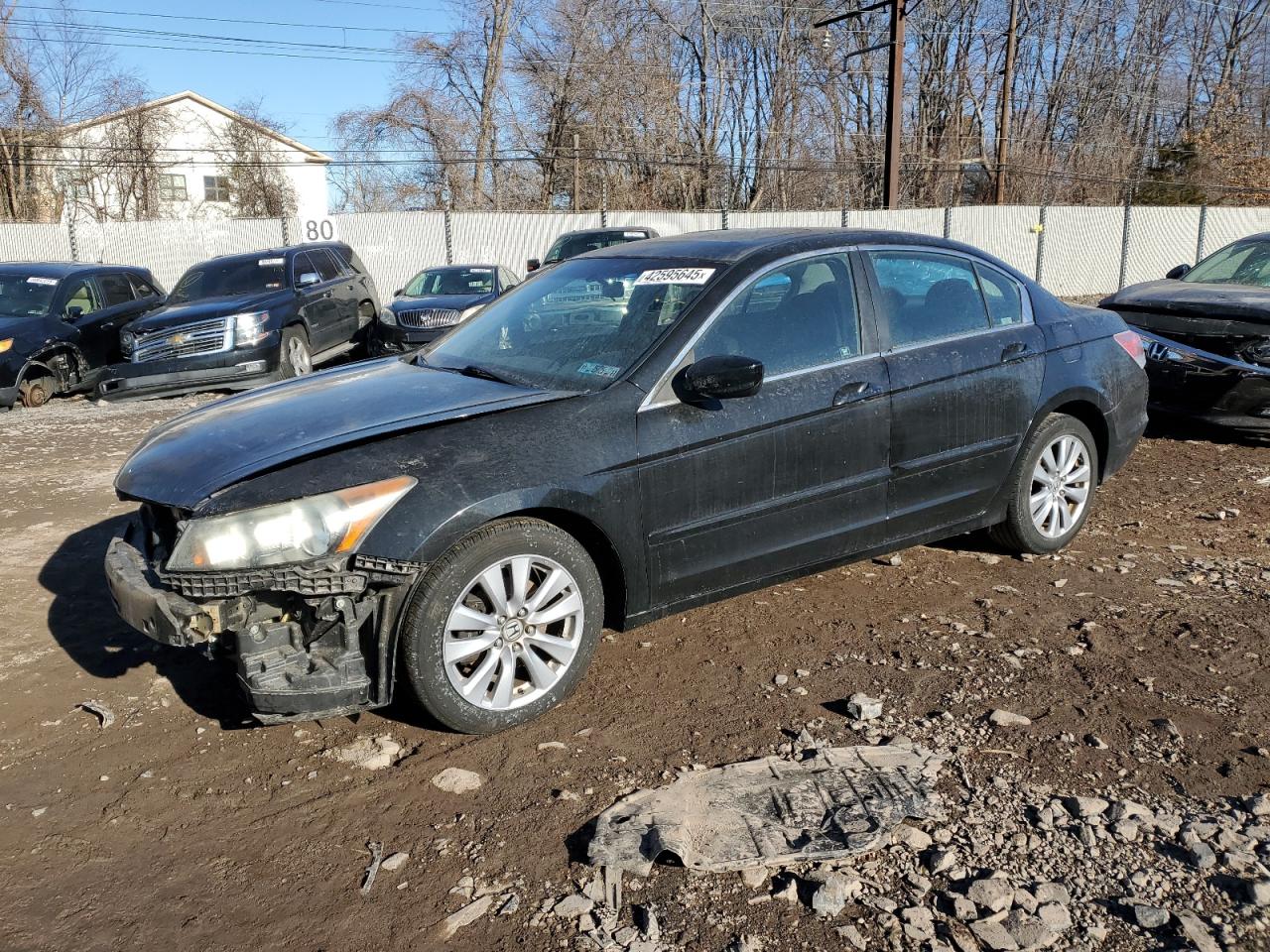 2011 Honda Accord - Image 1