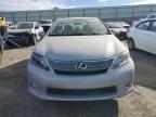 2010 Lexus Hs 250H продається в Albuquerque, NM - Normal Wear