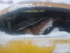 Wayland, MI에서 판매 중인 2005 Ford Mustang Gt - Burn - Interior