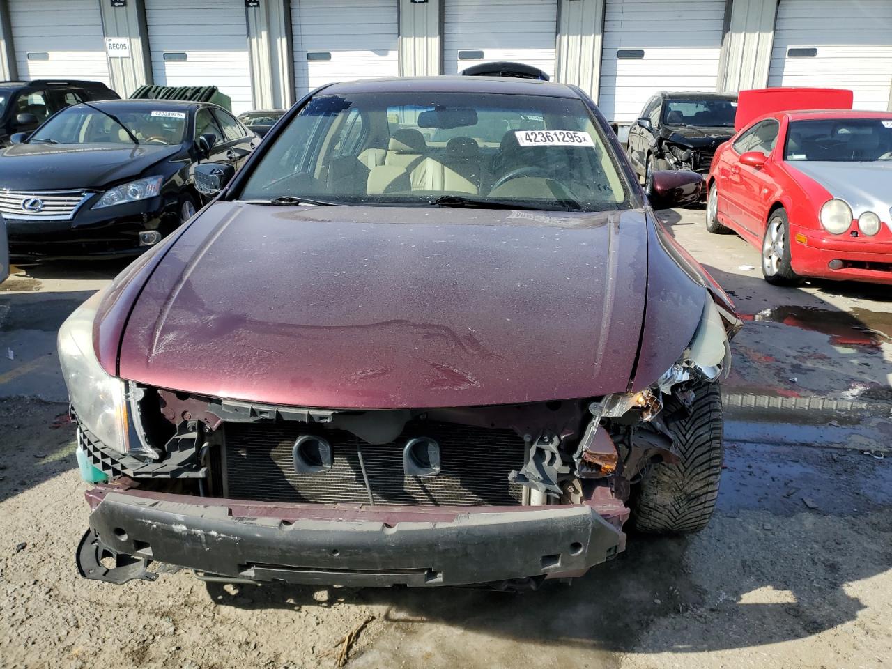 2010 Honda Accord - Image 5